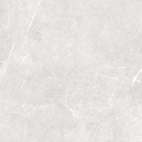 GT60601406MR-3 Керамогранит Bliss_GT Серый 60x60 _ 1\46,08 — фото 13, Керамогранит