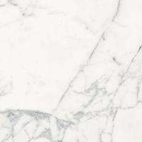 Плитка 243 26525 Les Origines De Rex арт. арт-769844 — фото 1, Керамическая плитка