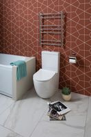 Чаша напольного унитаза Aquanet Rimless Cetus 2.0 C1 LX-2903 — фото 13, Напольные унитазы