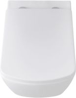 Унитаз с инсталляцией Allen Brau Liberty, с гигиеническим душем 279260+280865+325594+306280+314382 — фото 6, Комплекты унитаз + инсталляция