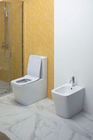 Товар: Чаша напольного унитаза Aquanet Rimless BL-103N-TPT арт-TAVR-C1 - фото 8 Чаша напольного унитаза Aquanet Rimless BL-103N-TPT арт-TAVR-C1 — фото 8, Напольные унитазы