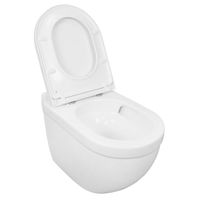 Товар: Унитаз подвесной Azario Fora 520х360х410 безободковый, смыв "Торнадо", в комплекте быстросьемным с сиденьем микролифт арт-AZ-0017-UQ1 - фото 3 Унитаз подвесной Azario Fora 520х360х410 безободковый, смыв "Торнадо", в комплекте быстросьемным с сиденьем микролифт арт-AZ-0017-UQ1 — фото 3, Подвесные унитазы