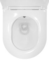 Унитаз подвесной Azario Grado 365х495х365 безободковый, с функцией биде, с быстросъемным сиденьем микролифт арт-AZ-046E-NR — фото 10, Подвесные унитазы