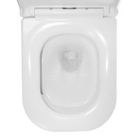 Унитаз подвесной Azario ESCONDA 345х490х350 безободковый, смыв "Скрытое Торнадо", с быстросъемным сиденьем микролифт арт-AZ-2805E — фото 7, Подвесные унитазы