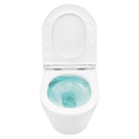 Унитаз подвесной Azario VELA 360х480х360 безободковый, система смыва "Торнадо", с быстросъемным сиденьем микролифт арт-AZ-2480 — фото 7, Подвесные унитазы