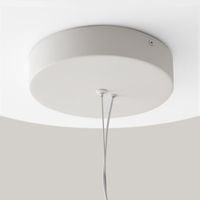 Подвесной светильник Maytoni MOD102PL-L42WK — фото 2, Подвесные светильники