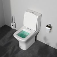 C908601SC Gem унитазкомпакт без ободка с сиденьем микролифт — фото 1, Напольные унитазы