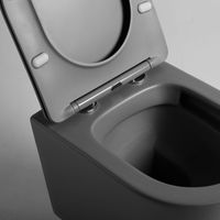 Унитаз подвесной Piatti VT1-11SMA, цвет антрацит матовый, ультратонкое soft-close сиденье — фото 1, Подвесные унитазы