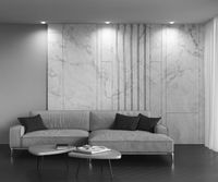 Товар: Встраиваемый светильник Technical DL046-01W - фото 9 Встраиваемый светильник Technical DL046-01W — фото 9, Точечные светильники