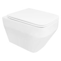 Унитаз подвесной Azario MONEO 530х365х370 безободковый, в комплекте с быстросъемным сидением микролифт арт-AZ-0062 — фото 13, Подвесные унитазы