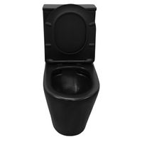 Унитаз-компакт Azario Black Queen 370х605х800 безободковый, с быстросъемным сиденьем микролифт, черный матовый арт-AZ-8380 — фото 4, Напольные унитазы