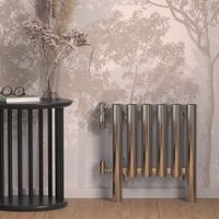 Кронштейн Опора Сунержа (для ДР Эталон и Кумир) / 2 шт Без покрытия арт-00-1545-0000 — фото 1, Комплектующие для полотенцесушителей