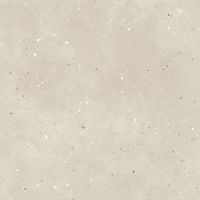 Товар: Плитка G-43/АMR/600x600x10 (1,44 кв.м.) - фото 2 Плитка G-43/АMR/600x600x10 (1,44 кв.м.) — фото 2, Керамическая плитка