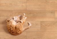 Керамогранит Kronborg_GT бежевый 19,8x80 _ 1\57,024 арт-GT208021302MСR — фото 11, Керамогранит