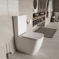 Товар: Унитаз-компакт Tornado Bien , белый, ультратонкое сиденье soft-close, P-trap арт-VT2-51T - фото 7 Унитаз-компакт Tornado Bien , белый, ультратонкое сиденье soft-close, P-trap арт-VT2-51T — фото 7, Напольные унитазы