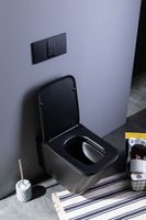 Товар: Унитаз подвесной Aquanet Rimless Tavr-W BL-103N-WHT black черный матовый TAVR-W BW - фото 26 Унитаз подвесной Aquanet Rimless Tavr-W BL-103N-WHT black черный матовый TAVR-W BW — фото 26, Подвесные унитазы