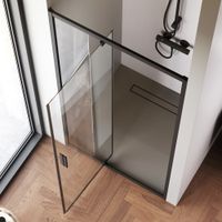 W90G-100-1P-BT Gem дверь душевая распашн 100x195,черный, стекло прозрачн — фото 1, Распашные душевые двери