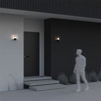 Товар: Настенный светильник (бра) Outdoor O016WL-01B - фото 9 Настенный светильник (бра) Outdoor O016WL-01B — фото 9, Уличное освещение