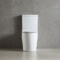 Товар: Унитаз напольный Azario LUMA TORNADO FLUSHING 364х600х830 безободковый, слив "Скрытое Торнадо", с быстросъемным сиденьем микролифт арт-AZ-1253ST - фото 5 Унитаз напольный Azario LUMA TORNADO FLUSHING 364х600х830 безободковый, слив "Скрытое Торнадо", с быстросъемным сиденьем микролифт арт-AZ-1253ST — фото 5, Напольные унитазы