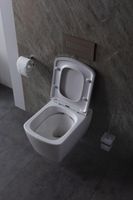 Унитаз Allen Brau Liberty 4.33004.20 подвесной Белый без сиденья — фото 42, Подвесные унитазы