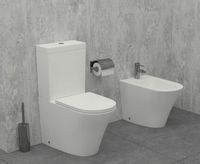 Бачок для унитаза Jacob Delafon Rodin+ белый (ETAB232-00) — фото 1, Комплектующие для туалета