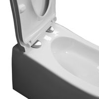 Товар: Унитаз подвесной Azario Etera 520x360x360 с системой смыва Tornado, с сидением микролифт арт-AZ-118E-UQ3 - фото 5 Унитаз подвесной Azario Etera 520x360x360 с системой смыва Tornado, с сидением микролифт арт-AZ-118E-UQ3 — фото 5, Подвесные унитазы