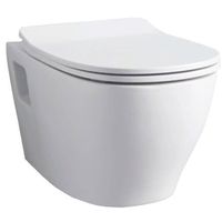 Сиденье с крышкой Artceram Slim с плавным опусканием цвет белый арт-TEA005 01 — фото 1, Сиденья для унитаза