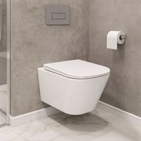 Унитаз подвесной Azario ESCONDA 345х490х350 безободковый, смыв "Скрытое Торнадо", с быстросъемным сиденьем микролифт арт-AZ-2805E — фото 14, Подвесные унитазы