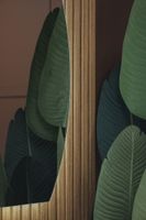 Товар: Зеркало ABBER Teil AG6504SL с подсветкой, бесконтактный выключатель, диммер - фото 3 Зеркало ABBER Teil AG6504SL с подсветкой, бесконтактный выключатель, диммер — фото 3, Зеркала в ванную комнату