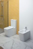 Товар: Чаша напольного унитаза Aquanet Rimless BL-103N-TPT арт-TAVR-C1 - фото 9 Чаша напольного унитаза Aquanet Rimless BL-103N-TPT арт-TAVR-C1 — фото 9, Напольные унитазы