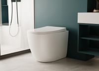 Унитаз ABBER Bequem AC1111TMW приставной белый матовый, безободковый, смыв торнадо — фото 16, Приставные унитазы