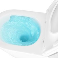 Товар: Унитаз подвесной Azario LANDER 345х490х350 безободковый, смыв "Скрытое Торнадо", с быстросъемным сиденьем "Микролифт" арт-AZ-2802E - фото 13 Унитаз подвесной Azario LANDER 345х490х350 безободковый, смыв "Скрытое Торнадо", с быстросъемным сиденьем "Микролифт" арт-AZ-2802E — фото 13, Подвесные унитазы