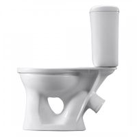 Унитаз-компакт Виктория косой выпуск, с бачком Виктория н/п., кнопочной арматурой и сиденьем SANTE 1P3016S0000BF — фото 3, Напольные унитазы