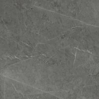 Плитка 7131 57354 Skala арт.K-2203/MR/600x600 — фото 1, Керамическая плитка