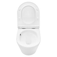 Унитаз подвесной Azario VELA 360х480х360 безободковый, система смыва "Торнадо", с быстросъемным сиденьем микролифт арт-AZ-2480 — фото 3, Подвесные унитазы