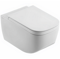 Комплект унитаз HATRIA NEXT подвесной безободковый с сиденьем с крышкой с плавным опусканием цвет белый арт-Y1F101 Y1F301 — фото 1, Подвесные унитазы