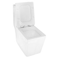 Товар: Унитаз-моноблок Azario RAYO 355х685х775 безободковый,с системой смыва Rimless, с быстросъемным сиденьем микролифт арт-AZ-6385 - фото 3 Унитаз-моноблок Azario RAYO 355х685х775 безободковый,с системой смыва Rimless, с быстросъемным сиденьем микролифт арт-AZ-6385 — фото 3, Напольные унитазы