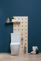 Товар: Чаша напольного унитаза Aquanet Rimless Cetus-C1 BL-102N-TPT - фото 28 Чаша напольного унитаза Aquanet Rimless Cetus-C1 BL-102N-TPT — фото 28, Напольные унитазы