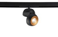 Товар: Рефлектор светильника арт-CLT 0.33 011 Reflector GOLD - фото 2 Рефлектор светильника арт-CLT 0.33 011 Reflector GOLD — фото 2, Комплектующие для освещения