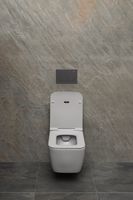 Товар: Чаша подвесного унитаза Allen Brau Liberty антрацит арт-4.33007.AN - фото 13 Чаша подвесного унитаза Allen Brau Liberty антрацит арт-4.33007.AN — фото 13, Подвесные унитазы