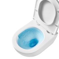 GLAZER WHITE Унитаз подвесной безободковый с сиденьем микролифт, LM, 9614003 — фото 10, Подвесные унитазы