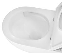 Унитаз подвесной Azario TERSO 495x360x370 безободковый, слив "Скрытое Торнадо" с быстросъемным сиденьем "Микролифт" арт-AZ-092E-UQ3 — фото 5, Подвесные унитазы