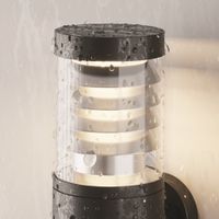 Настенный светильник (бра) Outdoor O439WL-L12GF3K — фото 5, Уличное освещение