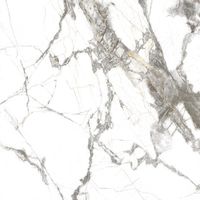 Керамогранит Everest_GT Белый 60x60 _ 1\43,2 арт-GT606013103MR — фото 11, Керамогранит