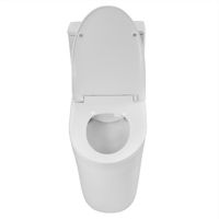 Унитаз-моноблок Azario ANSA 385х695x775 безободковый, в комплекте с сиденьем дюропласт микролифт, белый арт-AZ-2301 — фото 3, Напольные унитазы