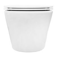 Унитаз подвесной Azario VELA 360х480х360 безободковый, система смыва "Торнадо", с быстросъемным сиденьем микролифт арт-AZ-2480 — фото 8, Подвесные унитазы