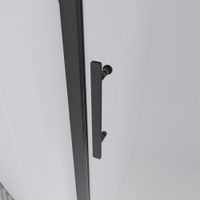 Душевая дверь Veconi Evo 100 GR, 1700x1950, графит брашинг, стекло тонированное матовое E1-GR-170-12-C9 — фото 2, Раздвижные душевые двери