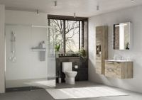 Товар: DEBBA ROUND Чаша унитаза напольного c безободковым смывом, двойной выпуск, белая. ROCA 734299P00Y - фото 8 DEBBA ROUND Чаша унитаза напольного c безободковым смывом, двойной выпуск, белая. ROCA 734299P00Y — фото 8, Напольные унитазы