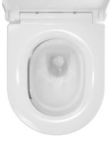 Товар: Унитаз подвесной Azario LANDER 345х490х350 безободковый, смыв "Скрытое Торнадо", с быстросъемным сиденьем "Микролифт" арт-AZ-2802E - фото 8 Унитаз подвесной Azario LANDER 345х490х350 безободковый, смыв "Скрытое Торнадо", с быстросъемным сиденьем "Микролифт" арт-AZ-2802E — фото 8, Подвесные унитазы