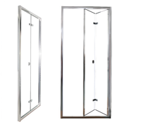 Дверь BELLA D101T душевая в нишу Ceruttispa (100х195) — фото 1, Складные душевые двери
